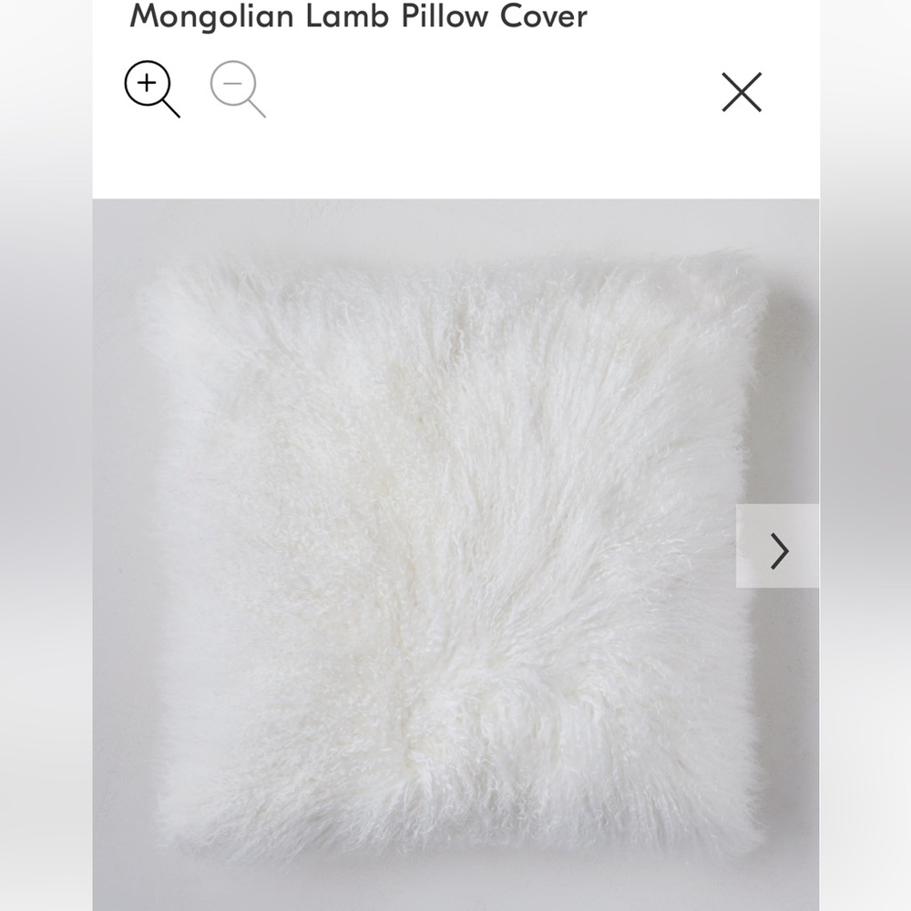 West Elm Mongolian Sheep Pillow Cover (1)
